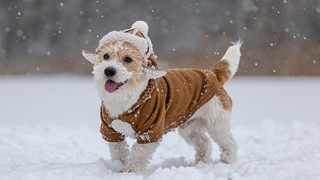 Учёные назвали три вещи, которые незаметно продлевают жизнь