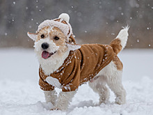 Учёные назвали три вещи, которые незаметно продлевают жизнь