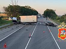 Ребенок и женщина погибли при столкновении ВАЗ и грузовика в Подмосковье