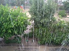 Дожди при +32 градусах накроют Волгоградскую область 3 августа