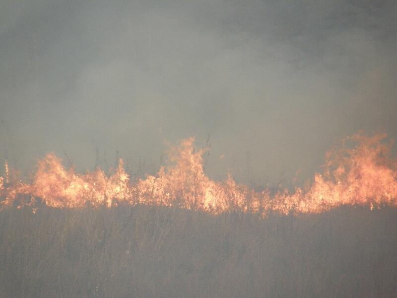 Найдены предположительные виновники степного пожара в Нерчинско-Заводском районе