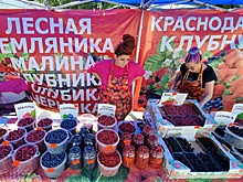 Почему ягоды в России за год резко подорожали