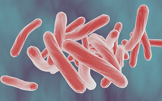 Выяснен механизм возникновения вирулентности туберкулеза