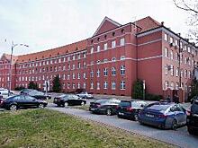 Власти Калининградской области расскажут о бонусах для самозанятых. Онлайн-трансляция