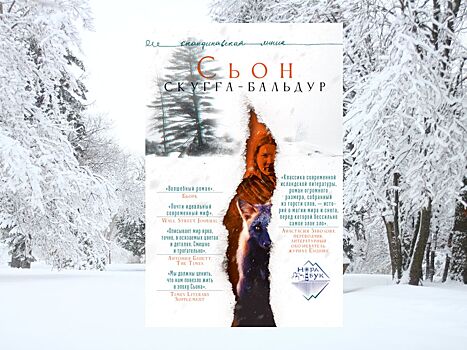 Автор песен Бьорк Сьон выпустил новую книгу «Скугга-Бальдур»
