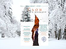Автор песен Бьорк Сьон выпустил новую книгу «Скугга-Бальдур»