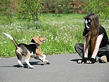 Александр Бельский: Законов о выгулах детей принимать не планируется