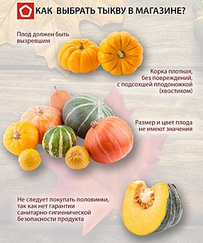 Опубликованы рекомендации по выбору тыквы к Хэллоуину
