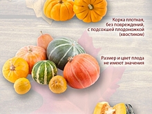 Опубликованы рекомендации по выбору тыквы к Хэллоуину