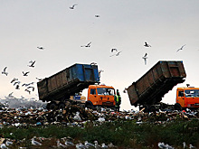 В РФ создадут новую систему контроля за движением мусора