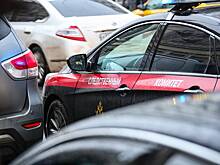 Вербовавший российских школьниц в ряды исламских террористов мигрант получил срок