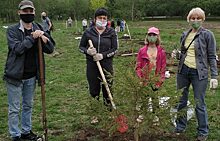 Активисты Екатеринбурга высадили деревья в честь героев-железнодорожников