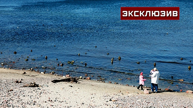 В Калининграде прокомментировали идею финнов блокировать регион