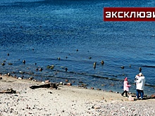 В Калининграде прокомментировали идею финнов блокировать регион