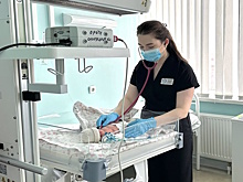 Медучреждения Адыгеи пополнили десятки молодых специалистов-целевиков в текущем году