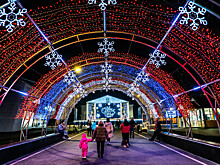 Гринч, «Чердак» и Татьянин день. Афиша мероприятий в Анапе