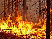 На Камчатке ликвидировали 157 природных пожаров