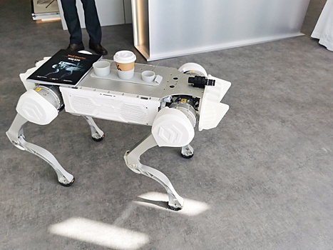 Время "Воина-волка". Корреспондент "РГ" передает с Dubai Airshow-2023