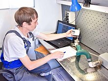 Когда проводить поверку газовых счетчиков