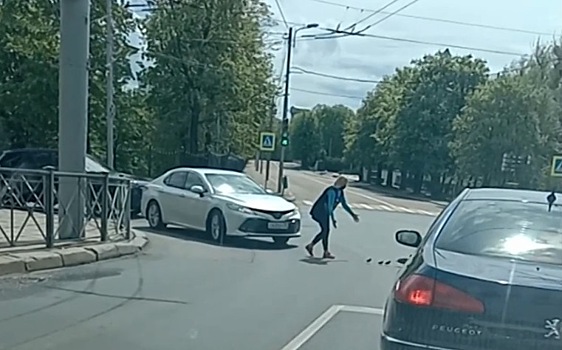Утиное семейство создало "пробку" в Калининграде