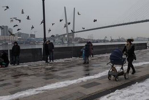 Осторожно, зона комфорта!:идёт борьба за зеленые островки в краевом центре