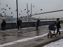 Осторожно, зона комфорта!:идёт борьба за зеленые островки в краевом центре