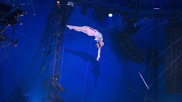 В Австралии цирковые артисты сорвались с высоты во время представления