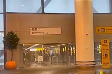 Потоп в аэропорту Шереметьево попал на видео