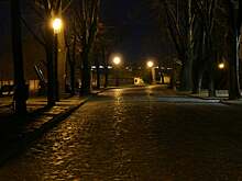 Алехандро Гомес: «В Бергамо на улицах никого нет, прямо как в фильме ужасов»