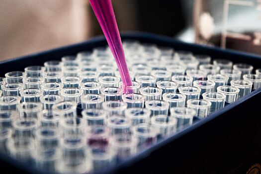 Фонд Day One Ventures Маши Дроковой вложился в сервис по управлению лабораториями LabFellows