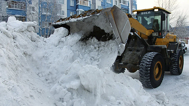 Колодин рассказал, сколько с начала 2025 года из Нового Уренгоя вывезли снега