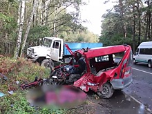 У погибшего на Балтийской трассе водителя «Рено» осталось трое детей