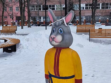 Александр Хинштейн предложил называть имена вандалов и показывать их лица