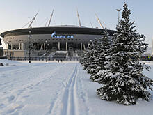 Политик Вишневский объяснил, при каких условиях финал Лиги чемпионов перенесут из Петербурга