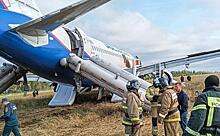 Второй пилот рассказал о посадке Airbus-320 на поле под Новосибирском