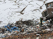 Компании в РФ заплатят за выброс искусственного грунта на мусорные полигоны