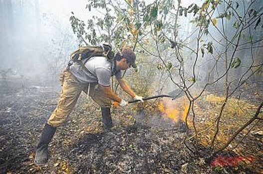 Два лесных пожара потушили в ПРиморье