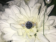 Под дождём на белом коне: новосибирец прискакал в лес делать предложение своей девушке