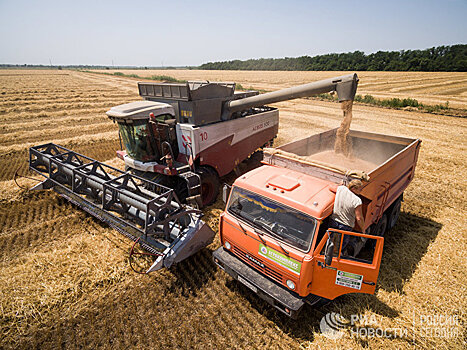 Россия уже выиграла чемпионат мира по... поставкам пшеницы