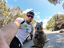 В Австралии на туриста прыгнула веселая квокка. Фото