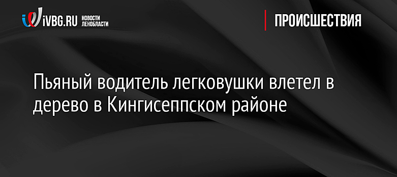 Пьяный водитель легковушки влетел в дерево в Кингисеппском районе