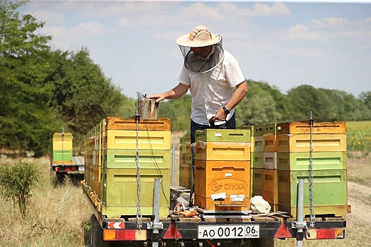 Пчеловоды Ингушетии наметили шаги по развитию отрасли