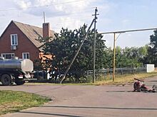 В Ростовской области в ДТП погиб велосипедист