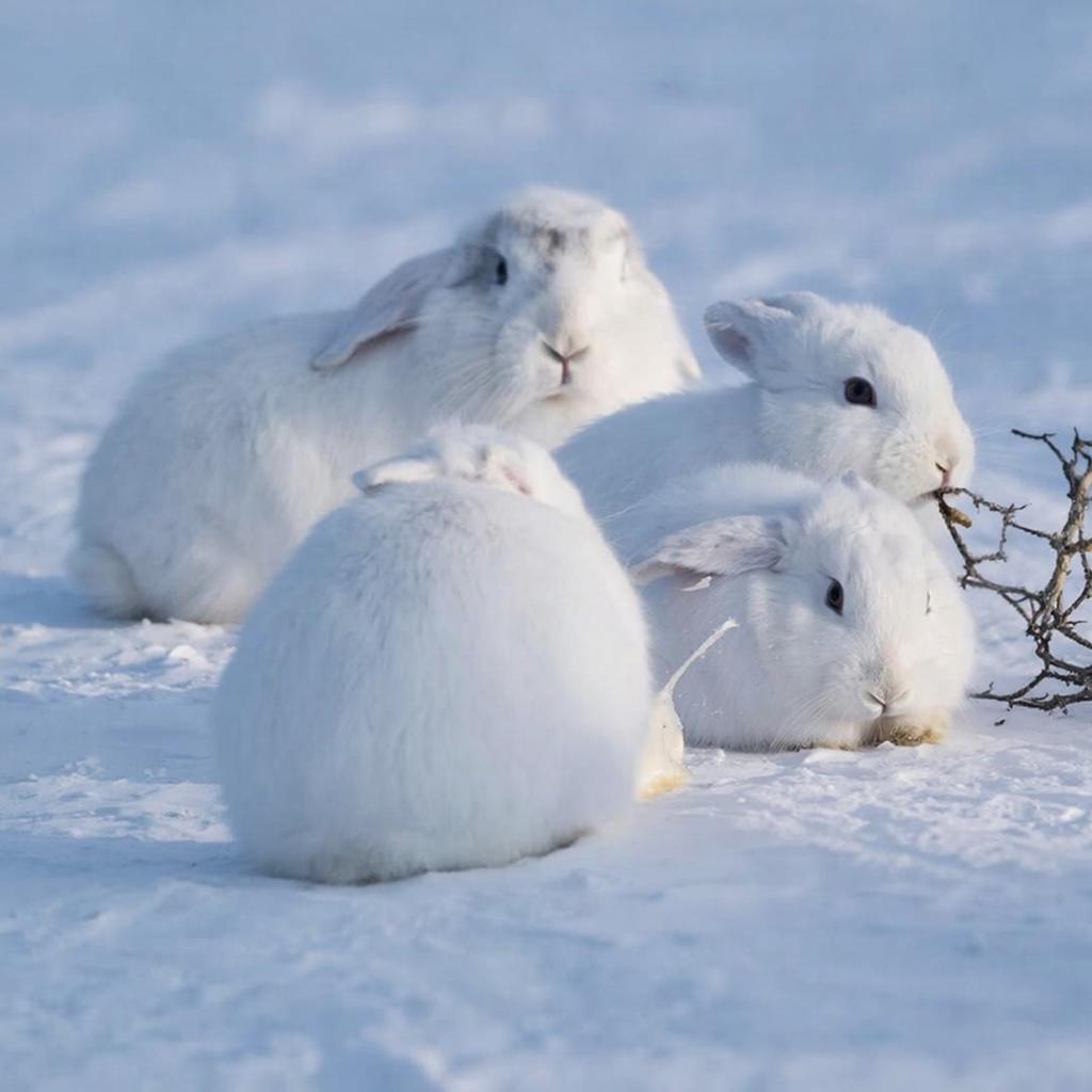 ������&nbsp; ����������, ����� �������� ���������� ������, ����� ��������� ���������