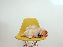 3 совета людям, у которых проблемы со сном