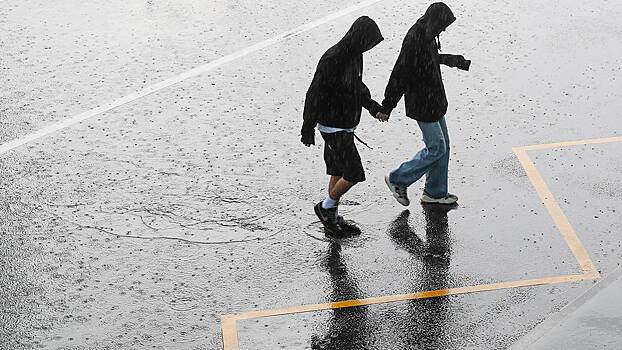 Синоптики сообщили о дождливой и прохладной погоде в Москве 29 августа