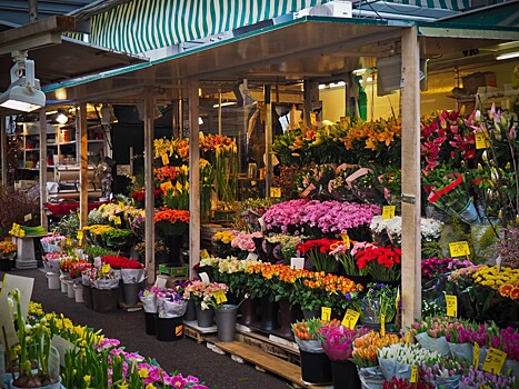 Цены на цветы в Нижнем Новгороде увеличатся в два раза к 8 Марта