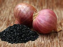 В Петербурге после «овощного» ДТП дорогу засыпало луком