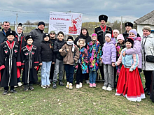 В Самарской области шестой год проходит акция "Сад памяти"