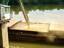 В Кремле не видят перспектив для выполнения зерновой сделки